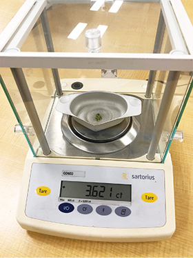 分析計量器 分析計量器