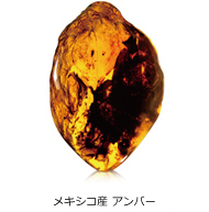 メキシコ産 アンバー メキシコ産 アンバー