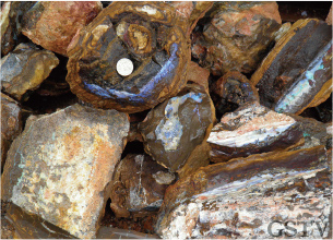 鉄鉱石母岩中に形成されたオパール