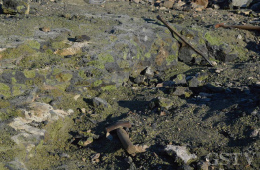 アメリカアリゾナ州のSan Carlo鉱山で見られるペリドットを含む玄武岩(Peridot Dreamsから引用)