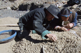地元のチベット族夫婦が砂礫層からアンデシンを採掘しています
