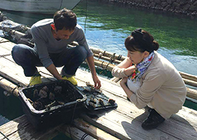 宇和島で念願の真珠養殖を見学