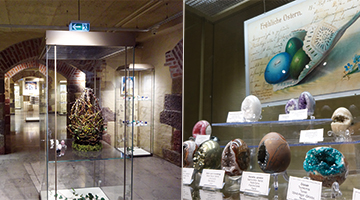 特別展の館内展示風景 特別展の館内展示風景