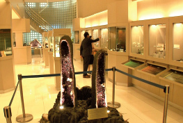 GIT博物館 GIT博物館