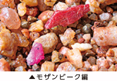 モザンビーク編