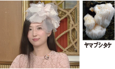 お題 お題