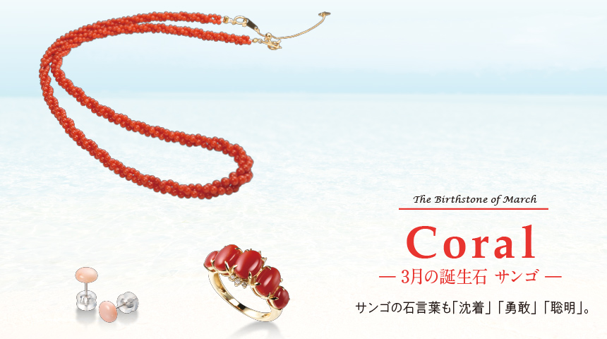 サンゴ サンゴ