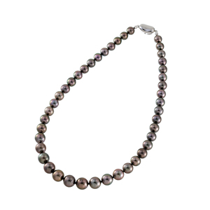 SV 黒蝶真珠 ナチュラルブラウニッシュブラックカラー ネックレス P 約8.0-11.0mm 約4