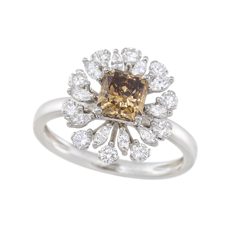 PT950 ブラウンダイヤモンド & ダイヤ リング BRD 1.00ct D 0.69ct
