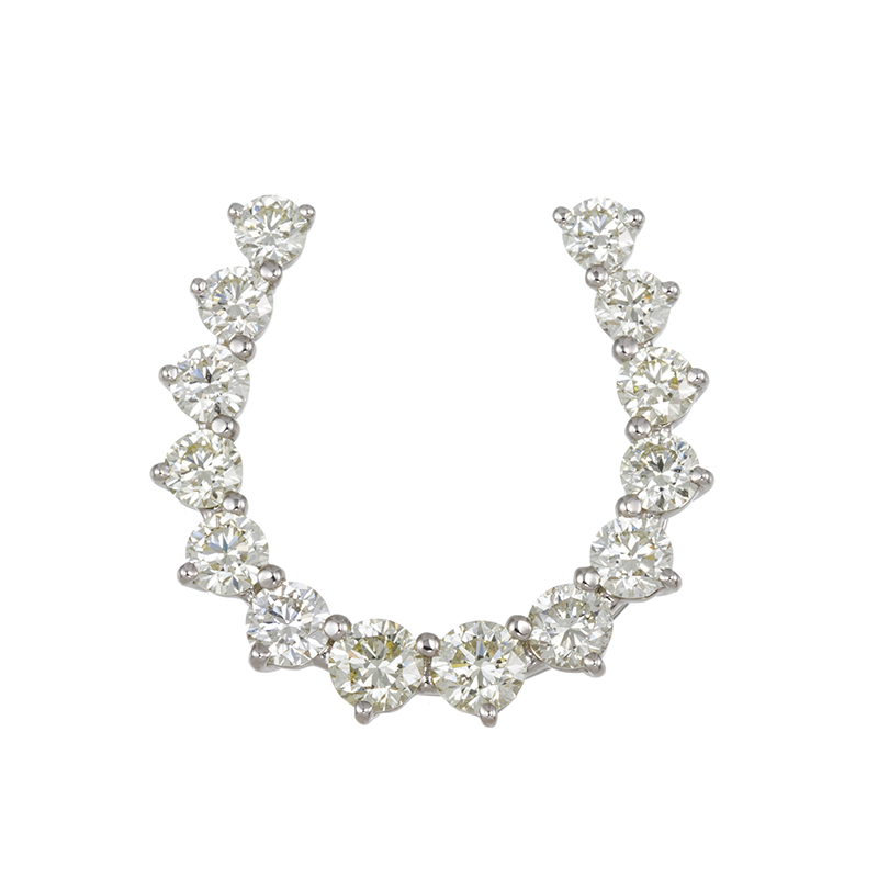 PT950 ダイヤモンド 馬蹄 ペンダントトップ D 約1.00ct