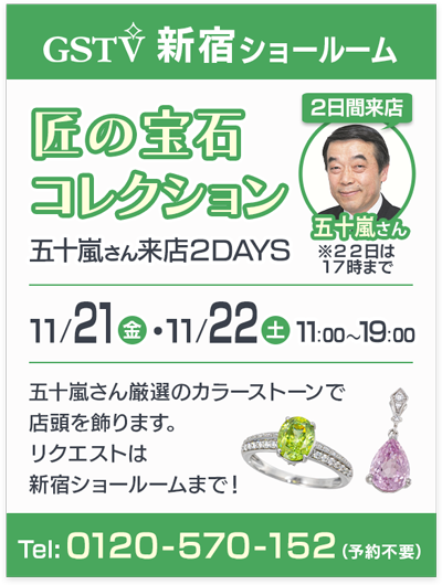 匠の宝石コレクション